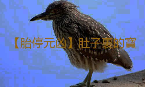 【胎停元凶】肚子裏的寶寶為什麽不再長大?